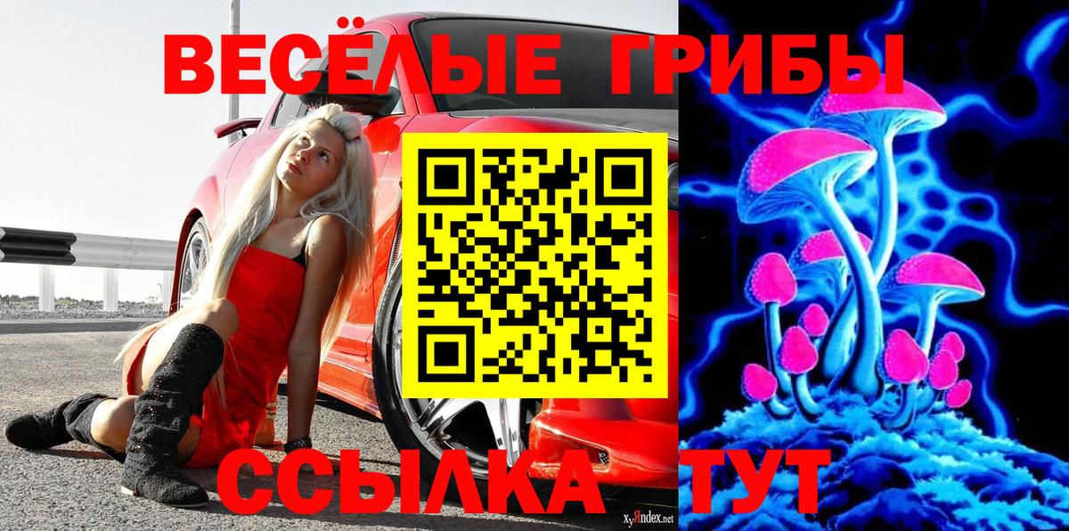 Псилоцибиновые грибы Cubensis Королёв